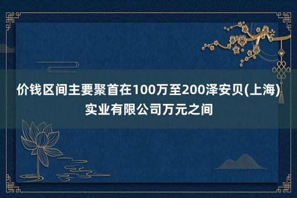 价钱区间主要聚首在100万至200泽安贝(上海)实业有限公司万元之间