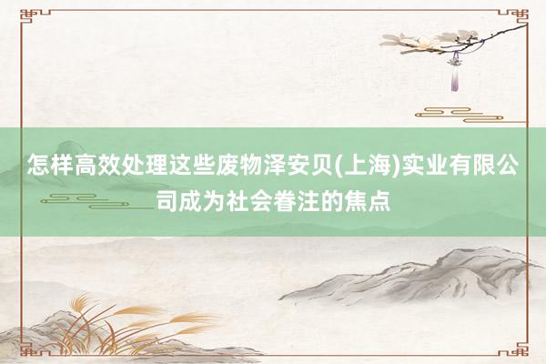 怎样高效处理这些废物泽安贝(上海)实业有限公司成为社会眷注的焦点