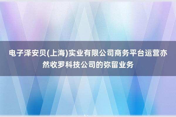 电子泽安贝(上海)实业有限公司商务平台运营亦然收罗科技公司的弥留业务