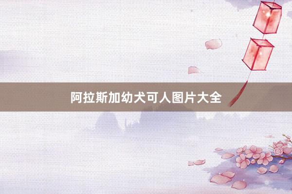 阿拉斯加幼犬可人图片大全
