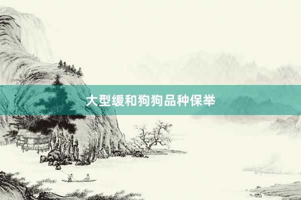 大型缓和狗狗品种保举