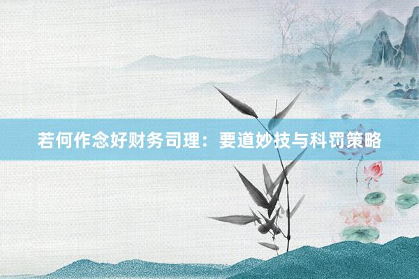 若何作念好财务司理：要道妙技与科罚策略